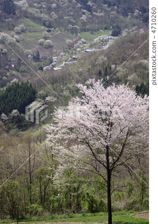 Ogura Gensyo Ogura Gensyo 4710260