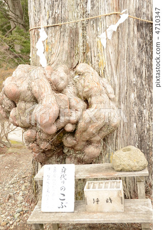 Substitution 4710347