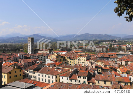 Lucca Mercato square 4710488