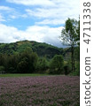 Nature  4711338