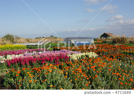 Chikura花園 Chikura花園 4711689