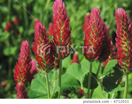 Strawberry candle 4712031