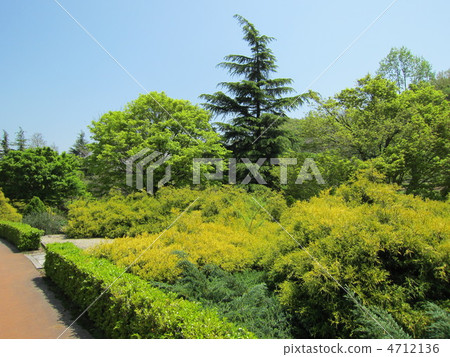 修善寺彩虹鄉（Suto Nige）鮮綠色 4712136