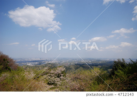 Mt. Takao在春天 4712143