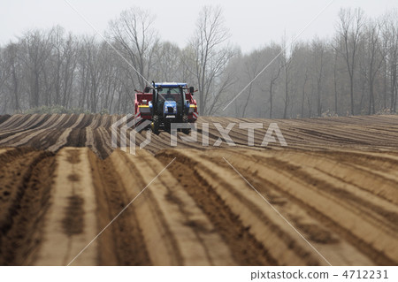 Fields and tractors Fields and tractors 4712231