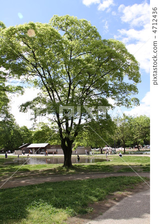 Kiso Mikawa Park Kiso Mikawa Park 4712436