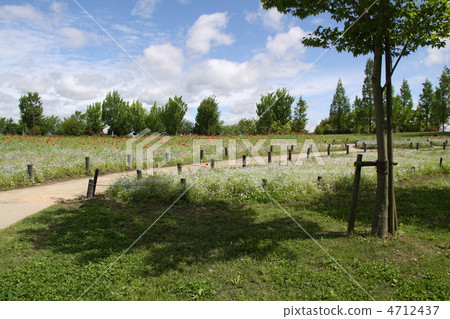 木曾三郎公園 4712437