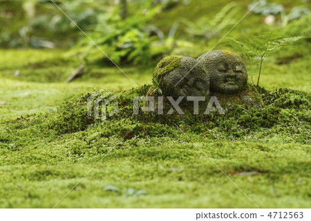 Moss Jizo Moss Jizo 4712563