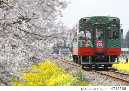 Cherry blossom train 4712586