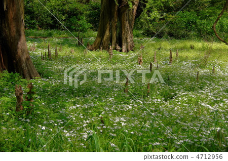 April Hosova Oohuana · Lily Nun 03 Group climate April Hosova Oohuana · Lily Nun 03 Group climate 4712956