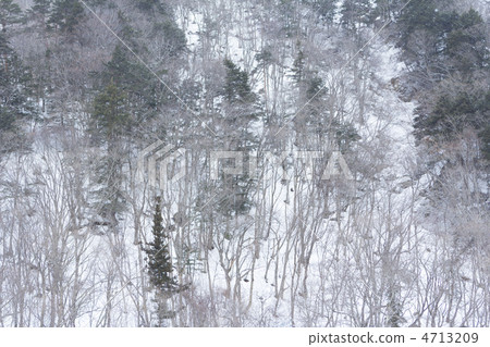 Snow mountain Snow mountain 4713209