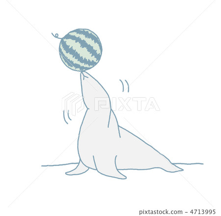 海獅和西瓜 海獅和西瓜 4713995