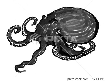 octopus octopus 4714495
