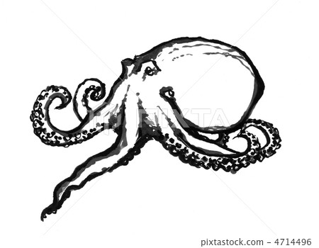 octopus octopus 4714496
