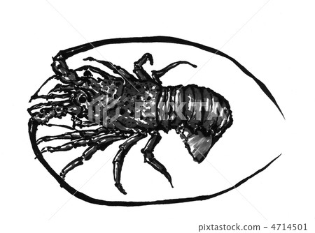 Shrimp Ise 4714501