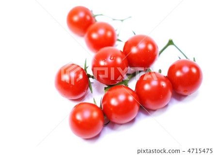 Branded Mini Tomato · White Back Horizontal Position Branded Mini Tomato · White Back Horizontal Position 4715475