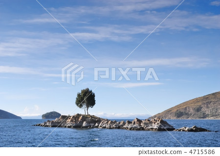 樹生長的島嶼。的喀喀湖。拍攝於2010年8月 樹生長的島嶼。的喀喀湖。拍攝於2010年8月 4715586