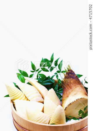 春天的味道·在浴缸裡煮竹子·白背垂直位置對角線俯視觀察 4715702