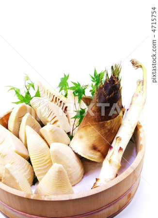 春天的味道·竹筍獨立·竹筍·白背垂直位置 4715754