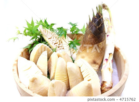 Spring taste · boiled bamboo shoot with boat monkey in a tub · white back sideways position 4715762