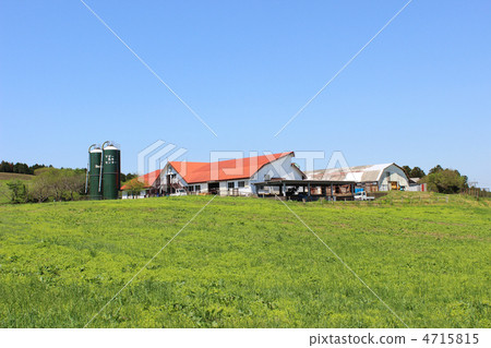 Mother Farm Mother Farm 4715815