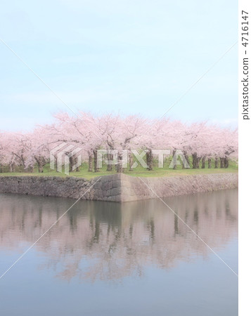  Goryokaku Park 4716147