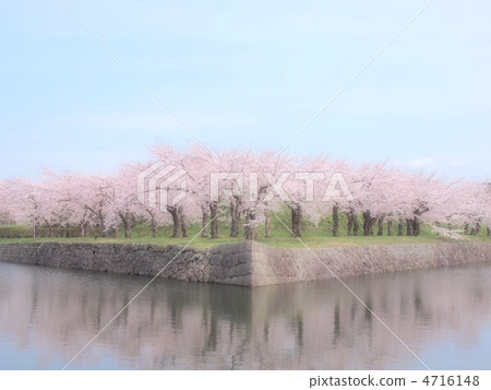  五棱郭公園 4716148