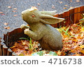 Rabbit  4716738
