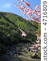 Shirakawa-go spring 4716809