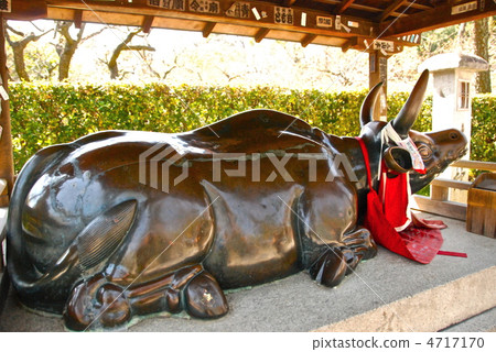 Statue of a cattle (Kitano Tenman-ku / Kamigyo-ku Kamigyo-ku Baku-cho) 4717170