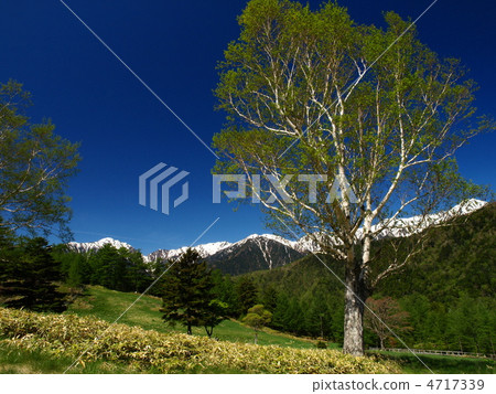 Miyata Takahara初夏 4717339