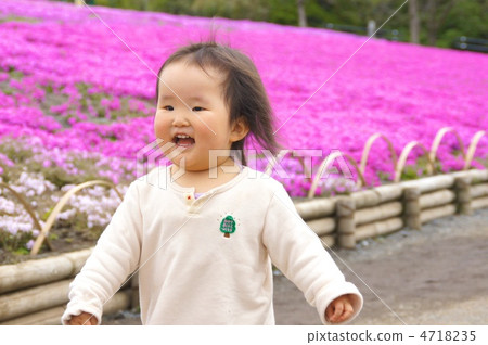 Shiba櫻花女孩 Shiba櫻花女孩 4718235