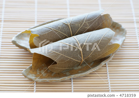 Kashiwamochi 4718359