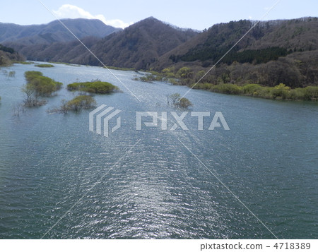 春夏初百合百合(1) 春夏初百合百合(1) 4718389