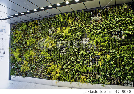 Building wall wall greening equipment 4719020