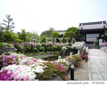 春天京都 4719349