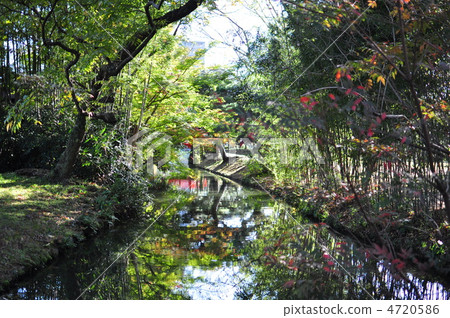 Kuribayashi公園 4720586