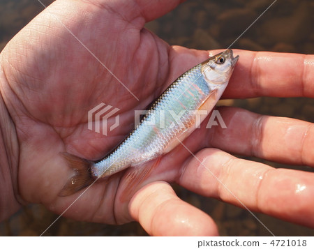 Oikawa（男）在飛機上 4721018