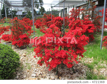 Noto Kirishima Garden 4721369