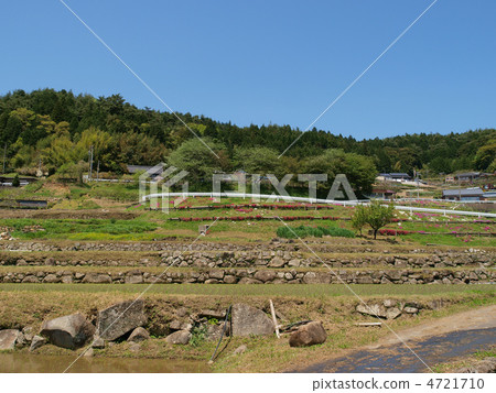 Gifu · Kamida Rice terrace 4721710