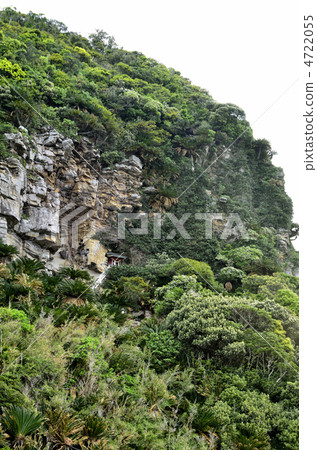 Miyazaki Shrine of Cape Toii and Cycles Native Habitat Miyazaki Shrine of Cape Toii and Cycles Native Habitat 4722055
