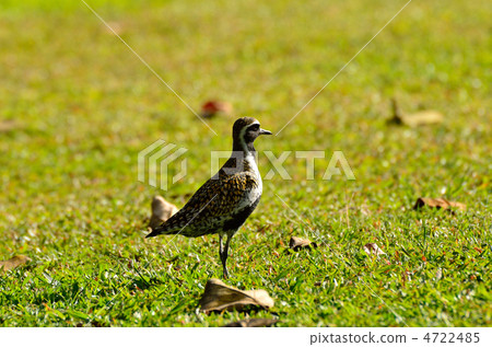 Munagro Munagro 4722485