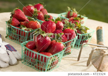 Baskets of Fresh Strawberries Baskets of Fresh Strawberries 4723324