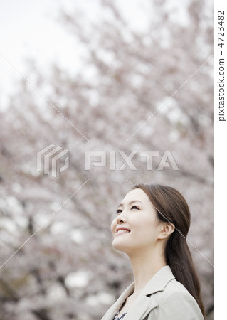 A woman looking up at the sky backing cherry blossoms A woman looking up at the sky backing cherry blossoms 4723482