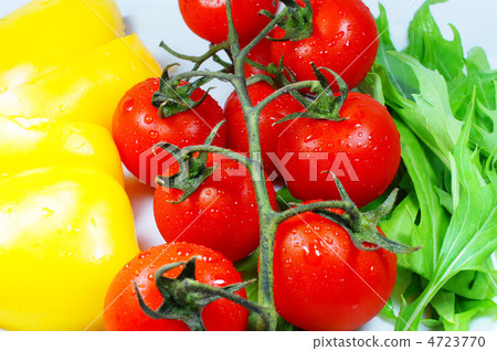 Fresh vegetables Fresh vegetables 4723770