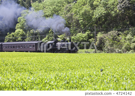 Tea field and locomotive 4724142