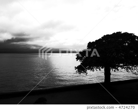 Sea Sea 4724270