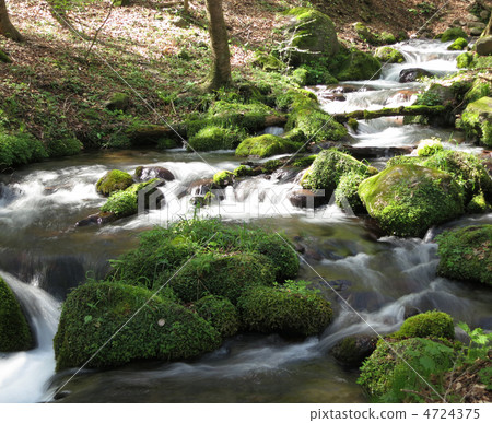 Minamizawa春天春天 Minamizawa春天春天 4724375