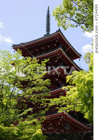 Takebayashiji in Shikoku 4724499