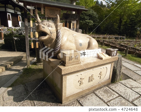 Thirty-three places in the western part of the country, the 10th temple, and the Miyamu-do temple 4724648